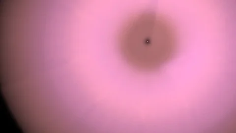 HD Abstract fractal forms morph and oscillate (Loop) Stock Footage 101768829