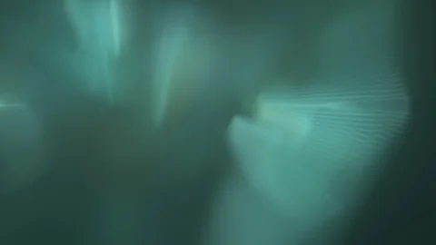 HD Abstract fractal forms morph and oscillate (Loop) Vidéo 101969107