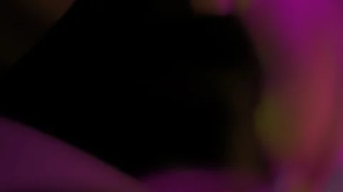 HD Abstract fractal forms morph and oscillate (Loop) Stock Footage 101974850