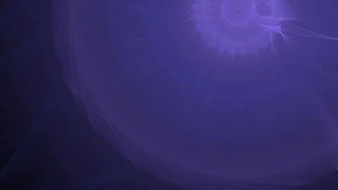 HD Abstract fractal forms morph and oscillate (Loop) Stock Footage 102128828