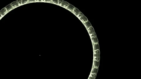 HD Abstract fractal forms morph and oscillate (Loop) Vidéo 102147428