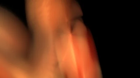 HD Abstract fractal forms morph and oscillate (Loop) Vídeos de archivo 102522835