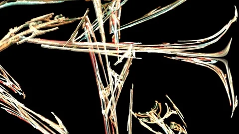 HD Abstract fractal forms morph and oscillate (Loop) Stock Footage 102532851