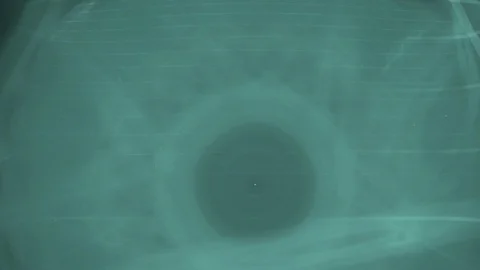 HD Abstract fractal forms morph and oscillate (Loop) Stock Footage 102534015