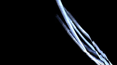 HD Abstract fractal forms morph and oscillate (Loop) Video stock 102606124