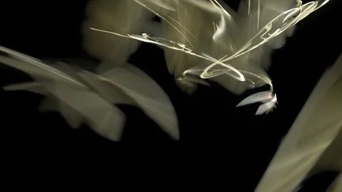 HD Abstract fractal forms morph and oscillate (Loop) Stock Footage 102843921