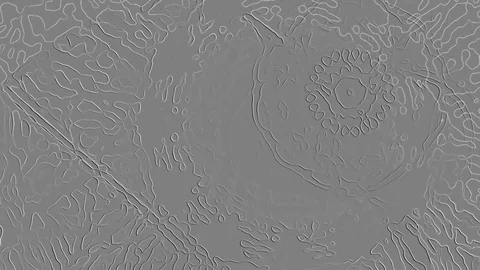 HD Abstract fractal forms morph and oscillate (Loop) Stock Footage 106995104