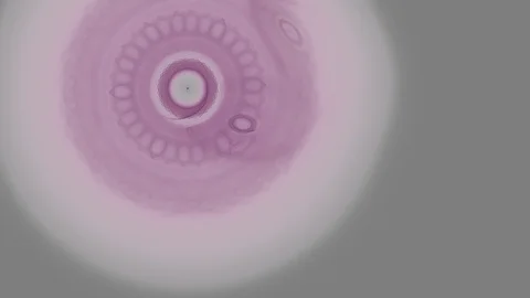 HD Abstract fractal forms morph and oscillate (Loop) Stock Footage 107009055