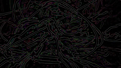 HD Abstract fractal forms morph and oscillate (Loop) Stock Footage 107091113