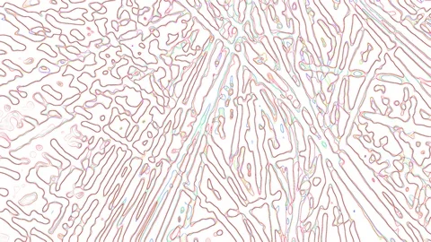 HD Abstract fractal forms morph and oscillate (Loop) Stock Footage 107120123