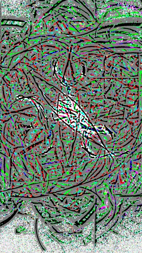 HD Abstract fractal forms morph and oscillate (Loop) Stock Footage 107144947