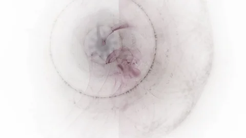 HD Abstract fractal forms morph and oscillate (Loop) 스톡 동영상 107187983