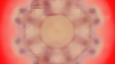 HD Abstract fractal forms morph and oscillate (Loop) Stock Footage 107224134