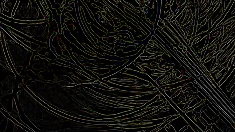 HD Abstract fractal forms morph and oscillate (Loop) Stock Footage 107374314