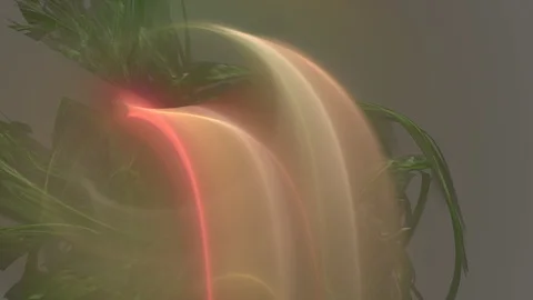 HD Abstract fractal forms morph and oscillate (Loop) Video stock 107423335