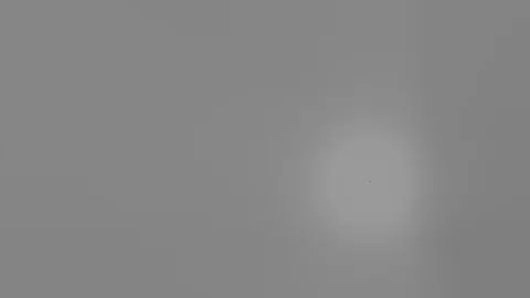 HD Abstract fractal forms morph and oscillate (Loop) Stock Footage 107657714