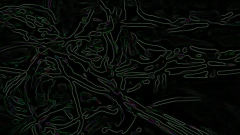 HD Abstract fractal forms morph and oscillate (Loop) Stock Footage 107782025
