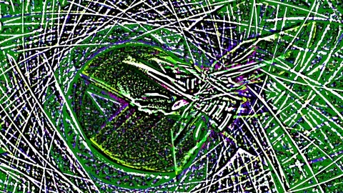 HD Abstract fractal forms morph and oscillate (Loop) Video stock 107793994