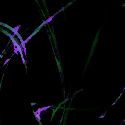 HD Abstract fractal forms morph and oscillate (Loop) Stock Footage 107820181