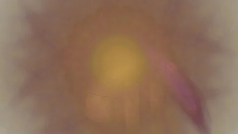 HD Abstract fractal forms morph and oscillate (Loop) Video stock 107884835