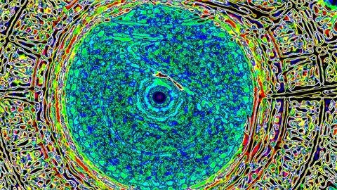 HD Abstract fractal forms morph and oscillate (Loop) Video stock 108013347