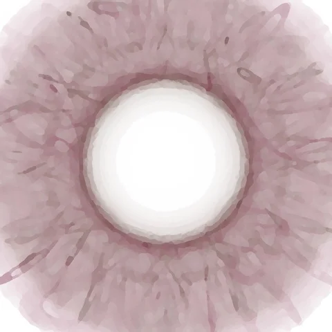 HD Abstract fractal forms morph and oscillate (Loop) Stock Footage 108107171