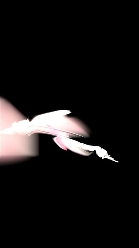 HD Abstract fractal forms morph and oscillate (Loop) Stock Footage 108165956