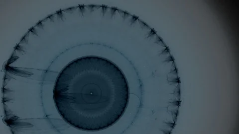 HD Abstract fractal forms morph and oscillate (Loop) 스톡 동영상 108179953