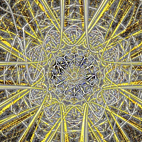 HD Abstract fractal forms morph and oscillate (Loop) 스톡 동영상 108192251