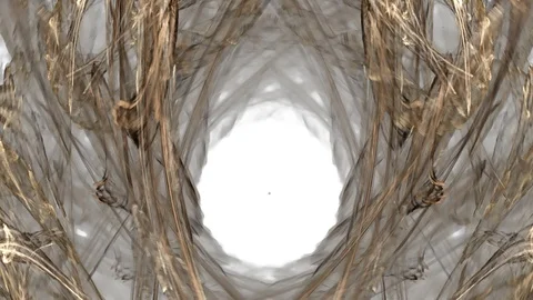 HD Abstract fractal forms morph and oscillate (Loop) Video stock 108264084