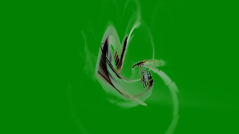 HD Abstract fractal forms morph and oscillate (Loop) Video stock 108268703