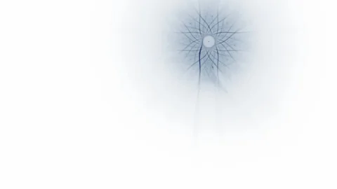 HD Abstract fractal forms morph and oscillate (Loop) Video stock 108289122