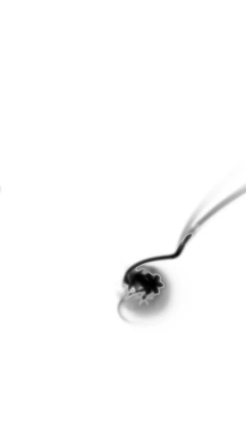 HD Abstract fractal forms morph and oscillate (Loop) Stock Footage 108412057