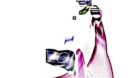 HD Abstract fractal forms morph and oscillate (Loop) 스톡 동영상 108474363