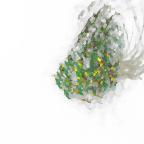 HD Abstract fractal forms morph and oscillate (Loop) Stock Footage 108534243