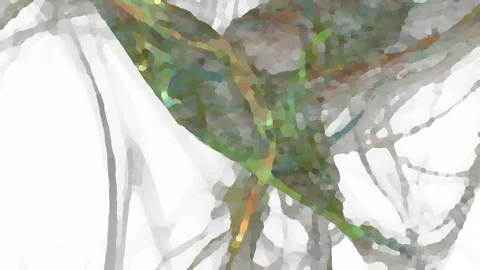 HD Abstract fractal forms morph and oscillate (Loop) Stock Footage 108565057