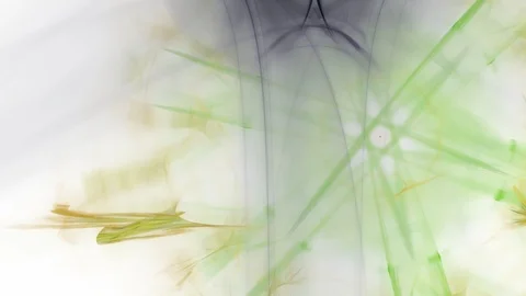 HD Abstract fractal forms morph and oscillate (Loop) Stock Footage 108578788