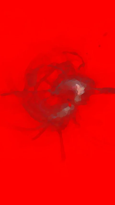 HD Abstract fractal forms morph and oscillate (Loop) Stock Footage 108613403