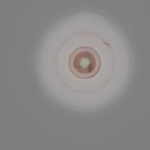 HD Abstract fractal forms morph and oscillate (Loop) Video stock 108675718