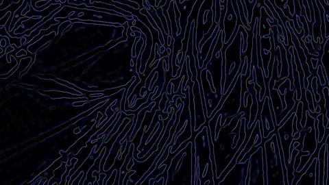 HD Abstract fractal forms morph and oscillate (Loop) 스톡 동영상 108740614