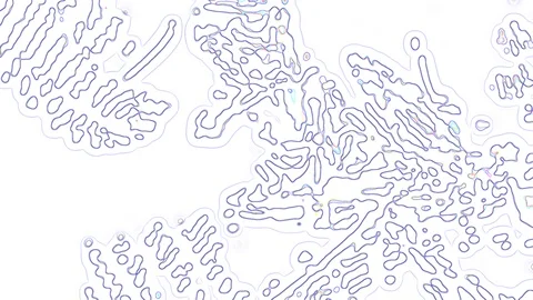 HD Abstract fractal forms morph and oscillate (Loop) Stock Footage 108751845