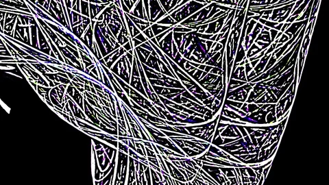 HD Abstract fractal forms morph and oscillate (Loop) Vidéo 108885089