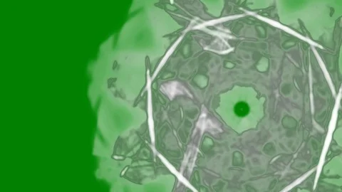 HD Abstract fractal forms morph and oscillate (Loop) Vidéo 108964812