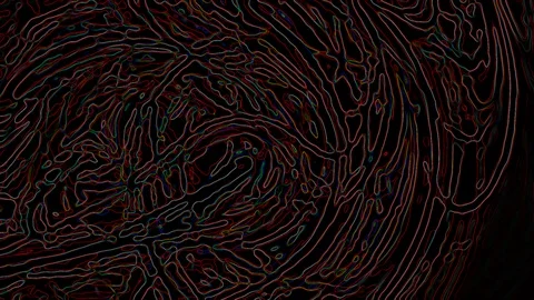 HD Abstract fractal forms morph and oscillate (Loop) Video stock 109142682