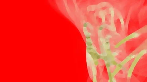 HD Abstract fractal forms morph and oscillate (Loop) Stock Footage 109194257