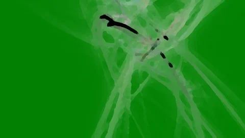 HD Abstract fractal forms morph and oscillate (Loop) Stock Footage 109336773