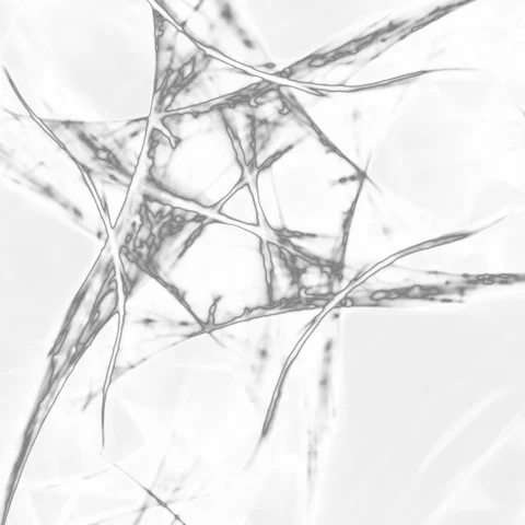 HD Abstract fractal forms morph and oscillate (Loop) 스톡 동영상 109354152