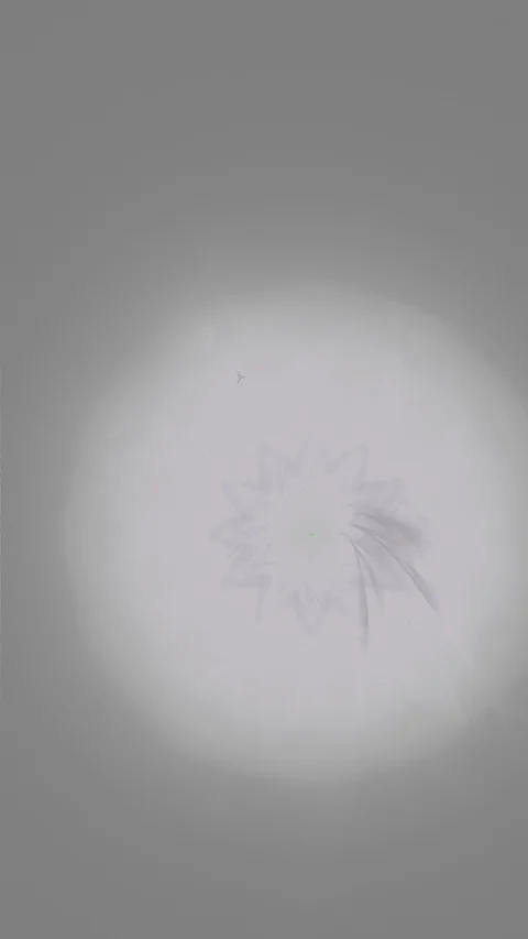 HD Abstract fractal forms morph and oscillate (Loop) Stockbeeldmateriaal 109462311