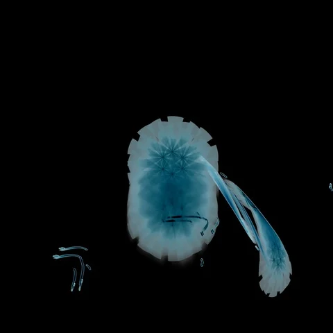 HD Abstract fractal forms morph and oscillate (Loop) Stock Footage 109505885