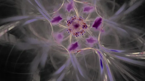 HD Abstract fractal forms morph and oscillate (Loop) Stock Footage 109524440